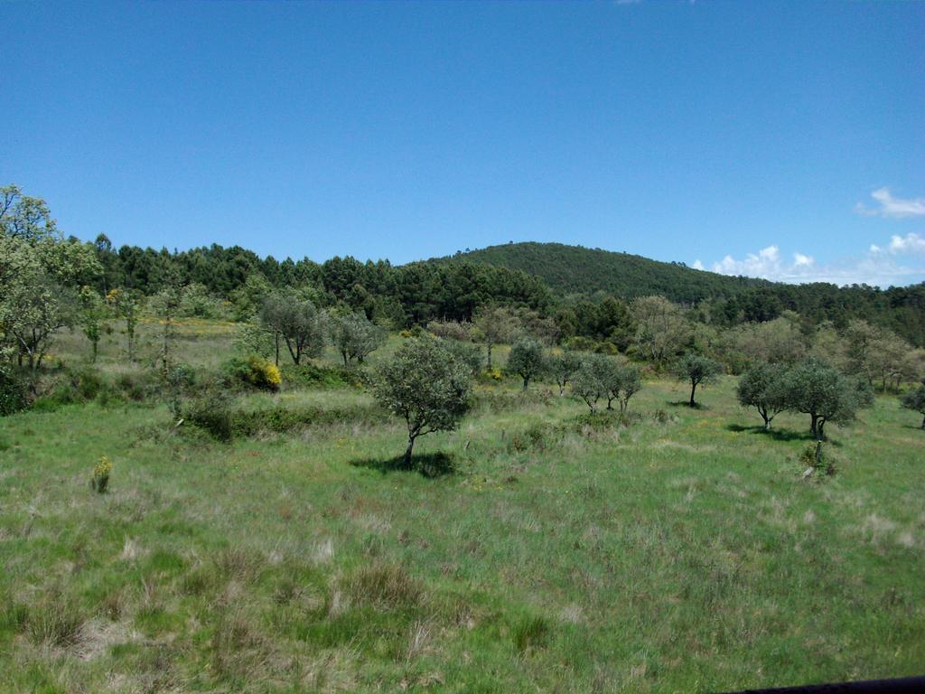 Quinta Do Mineiro-Serra Da Estrela Matanca Pokój zdjęcie