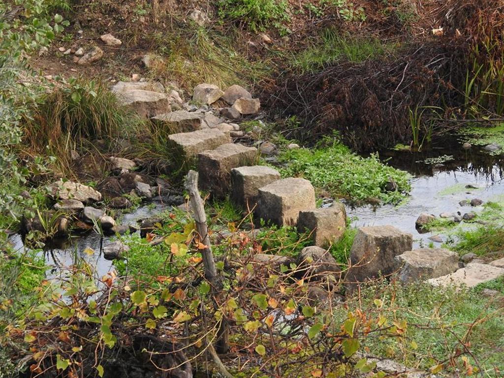 Quinta Do Mineiro-Serra Da Estrela Matanca Zewnętrze zdjęcie
